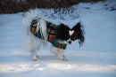 SnugPups Fleece Coats with Ruffle Skirt