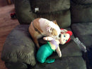 Extra Large Toon Town Famous Character Stuffed Dog Toys: 15"-20" Squeak & NO Squeak