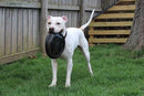 Kong Extreme Flyer Dog Toy / CHEAPER THAN CHEWY!