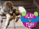 Flat 'n Tuff: No Stuffing, Squeaky: All sizes