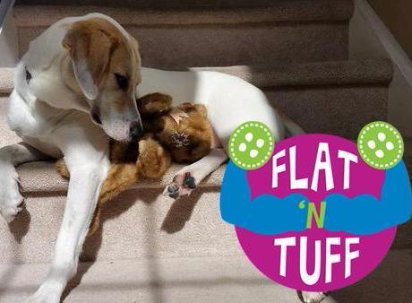 Flat 'n Tuff: No Stuffing, Squeaky: All sizes