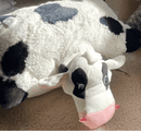 Pillow Pals Squeaky Stuffed Dog Toys: M, L & XL
