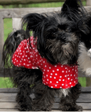 SnugPups Raincoats