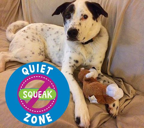 Small Stuffed NO SQUEAK Quiet Zone Dog Toys