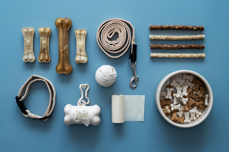 6 Eco-Friendly Dog Products Every Owner Should Try - Glad Dogs Nation | ALL Profits Donated