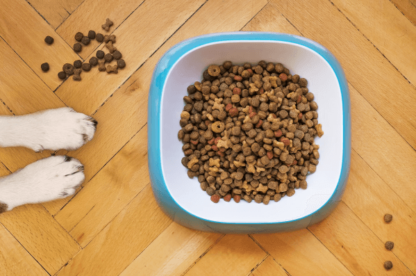 7 Questions to Ask Before Buying Pet Food - Glad Dogs Nation | ALL Profits Donated