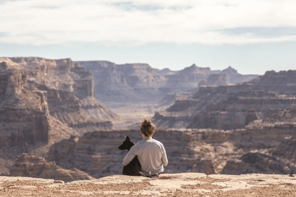 7 Tips For Flying With Your Dog - Glad Dogs Nation | ALL Profits Donated