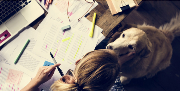 The Impact of Pets on University Students' Mental Health