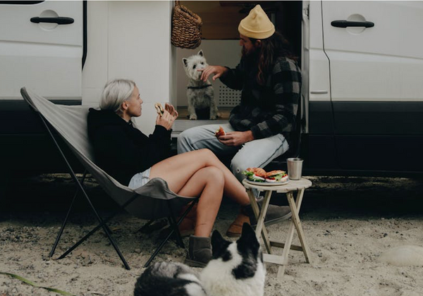 Your Online Guide To Dog-Friendly RV Camping