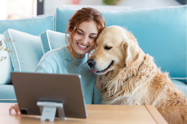 AI Meets Pet Wellness: Custom Care Tips for Every Furry Friend