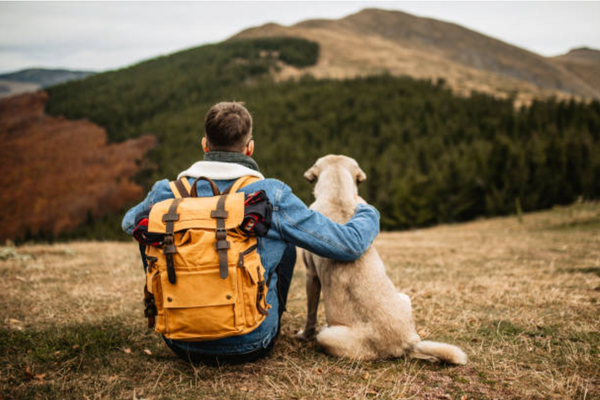 Traveling With Cannabis: Avoid Common Mistakes
