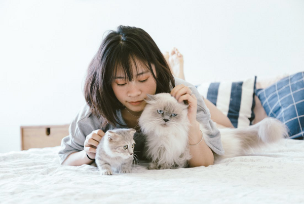Why Technology Matters in Giving Pets a Safer Life
