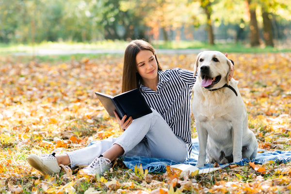 Pets That Don’t Mix Well with Student Life