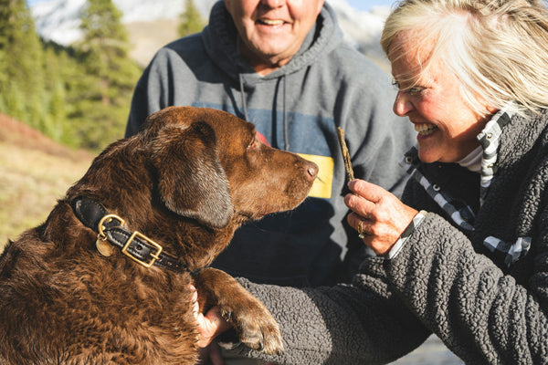 What to Look for in High-Quality Dog Treats