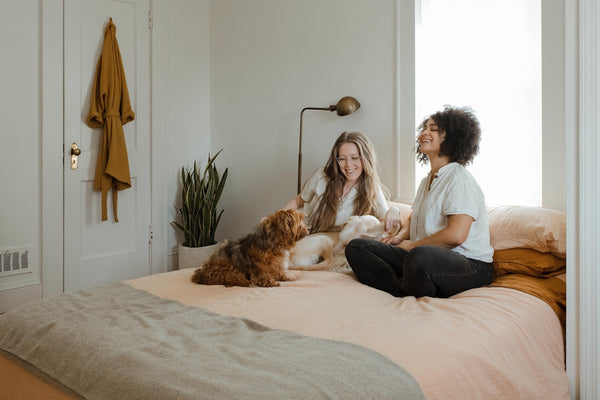 Best Dog Breeds for Small Apartments