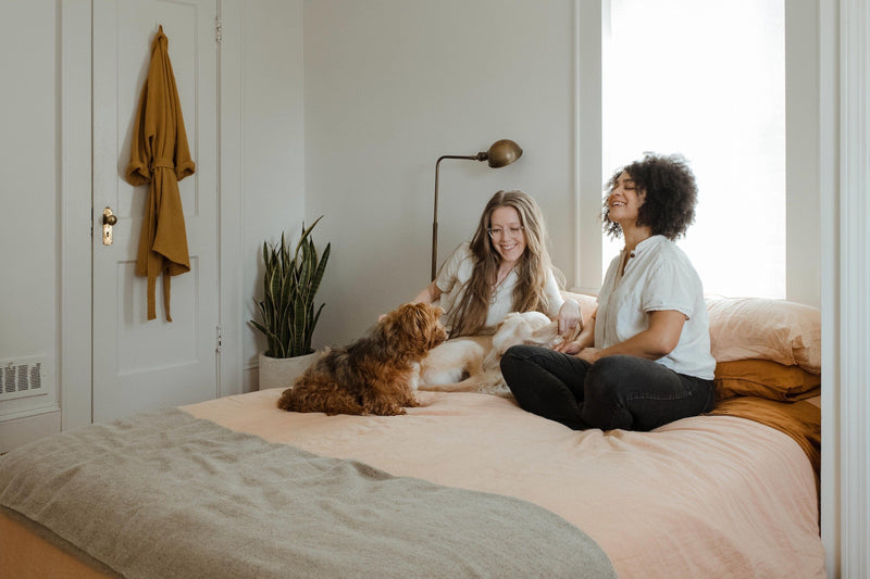 Best Dog Breeds for Small Apartments