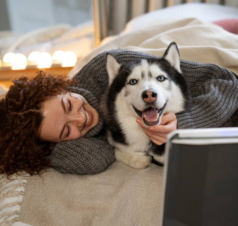 Creating a Relaxing Environment for Your Dog: Tips for Stress-Free Living - Glad Dogs Nation | ALL Profits Donated