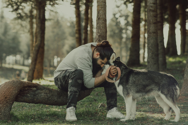 Stressed During Finals? Your Pet Might Feel It, Too - Here’s How to Help