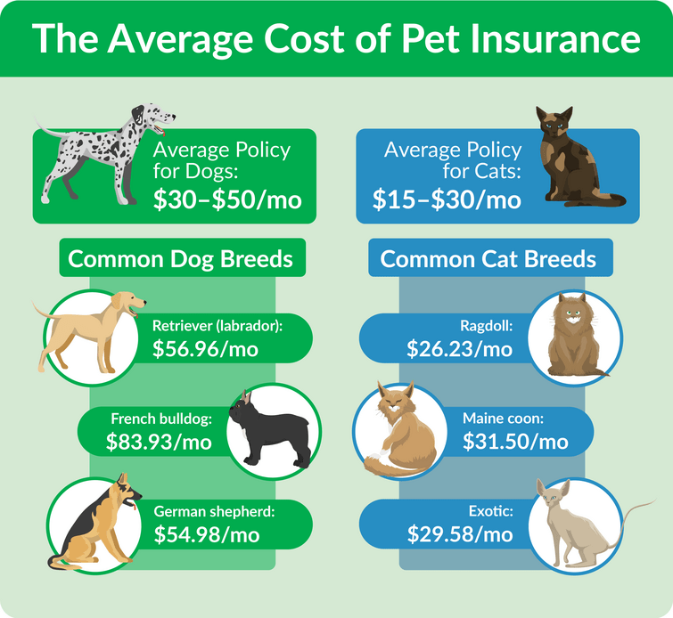 Dog Breeds With the Lowest Health Risks - Glad Dogs Nation | ALL Profits Donated