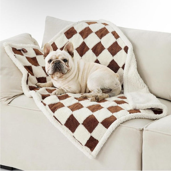 How Waterproof Pet Blankets Easily Prevent Odors and Bacteria Build-Up