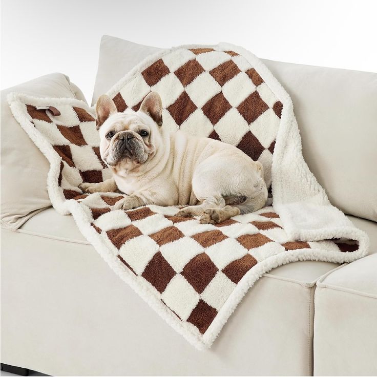 How Waterproof Pet Blankets Easily Prevent Odors and Bacteria Build-Up