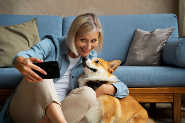 Canine Comfort Kits for Senior Pet Owners
