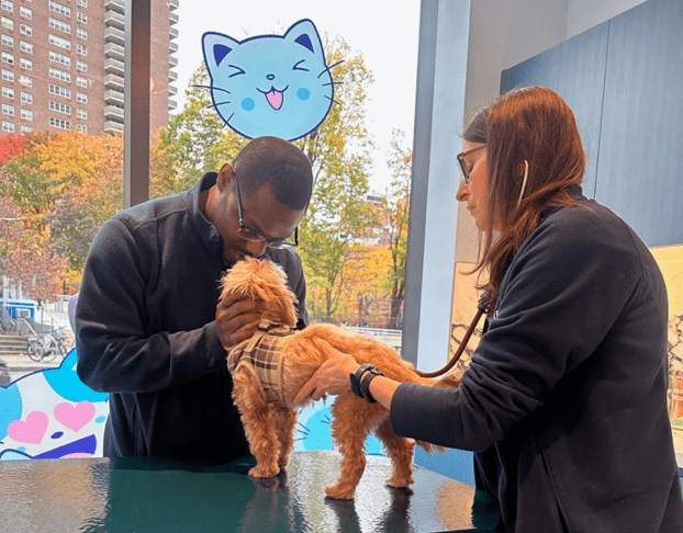 Essential First Aid Tips for Pet Owners: When to Seek Emergency Help - Glad Dogs Nation | ALL Profits Donated