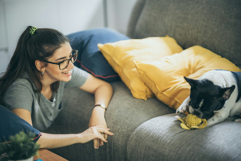 Everything You Should Know About Getting an ESA Letter Online - Glad Dogs Nation | ALL Profits Donated