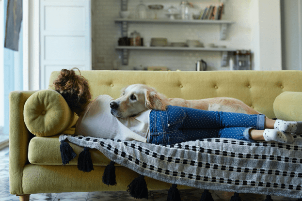 Home Sweet Home: Creating A Pet-Friendly Space Your Dog Will Love - Glad Dogs Nation | ALL Profits Donated