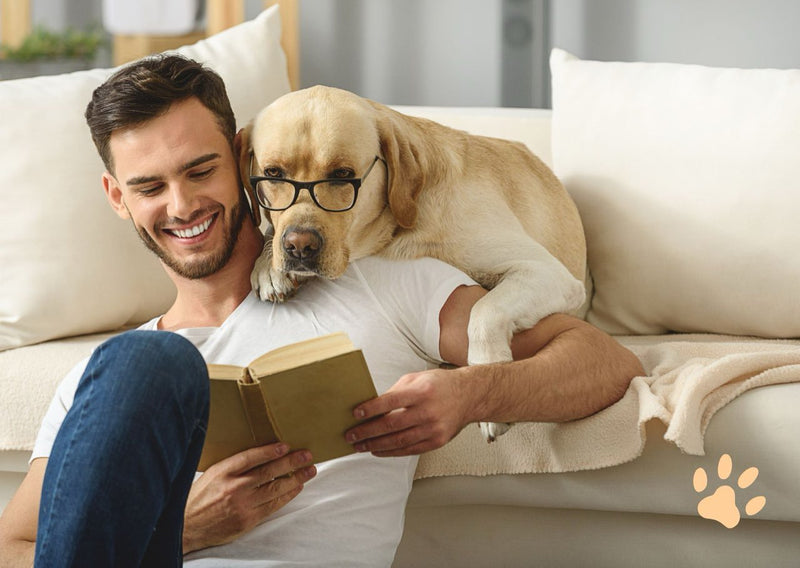 How Dogs Help You Study Better - Glad Dogs Nation | ALL Profits Donated