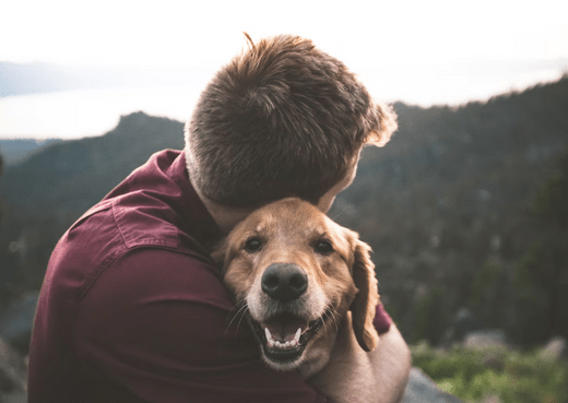 How To Take Care Of Your Dog As He or She Is Getting Older - Glad Dogs Nation | ALL Profits Donated