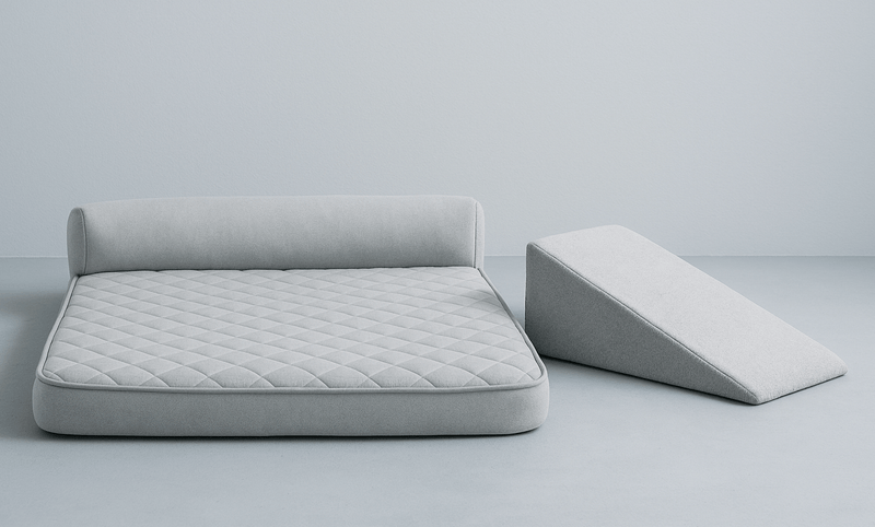 Improving mobility and comfort for older dogs - Glad Dogs Nation | ALL Profits Donated