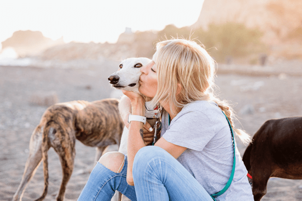 Paw Prints And Pitfalls: How The Seasons Impact Pet Safety - Glad Dogs Nation | ALL Profits Donated