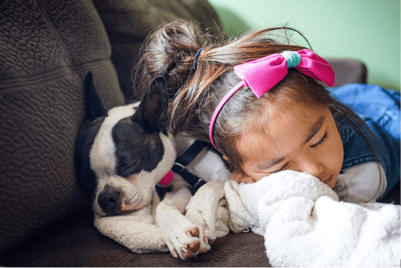 Pets and Children: Nurturing Compassion and Responsibility - Glad Dogs Nation | ALL Profits Donated