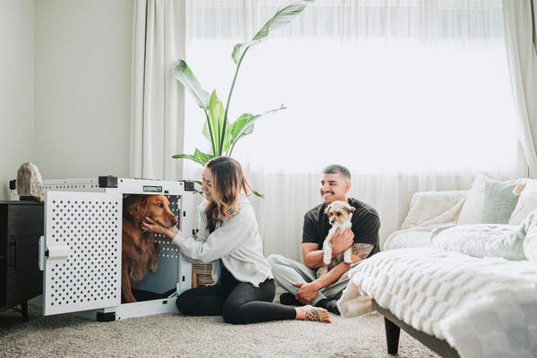 Indoor vs. Outdoor Dog Kennels: Which is Right for Your Pup?