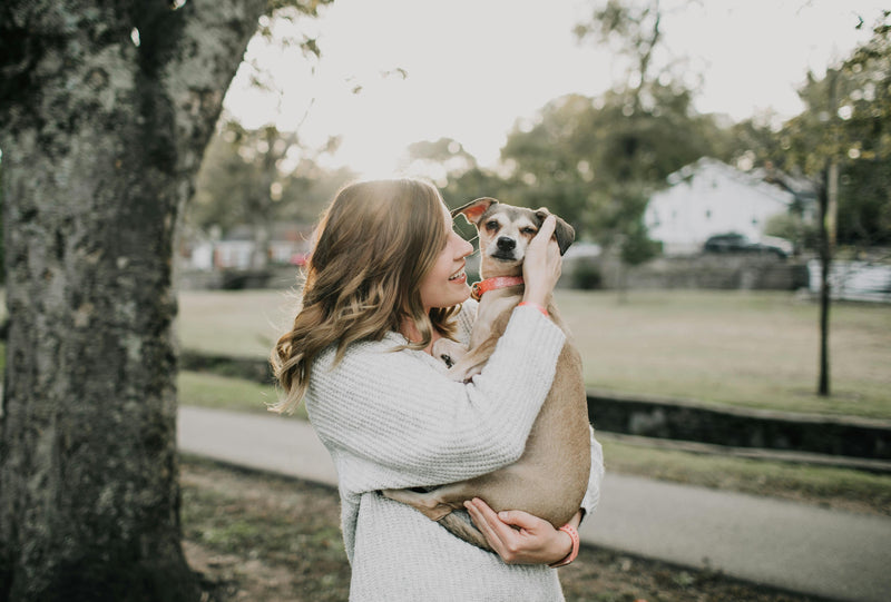 Lovingly Adopted: A Health Handbook for Your Newly Rescued Pet