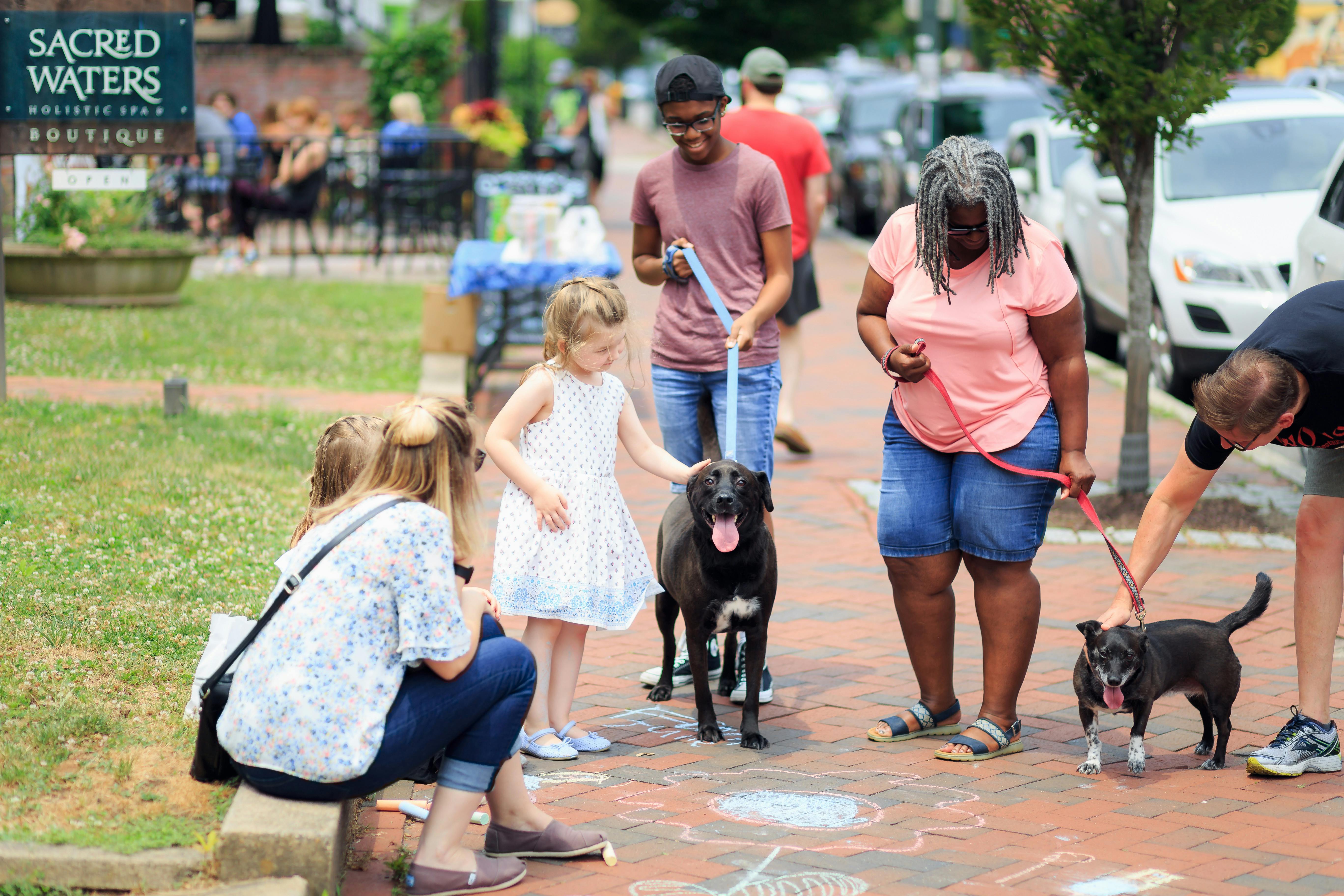 Recognizing The Signs Of Stress In Dogs: How To Prevent A Bite Before