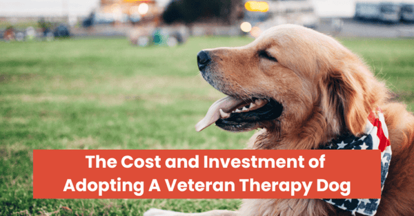 The Cost and Investment of Adopting a Veteran Therapy Dog - Glad Dogs Nation | ALL Profits Donated