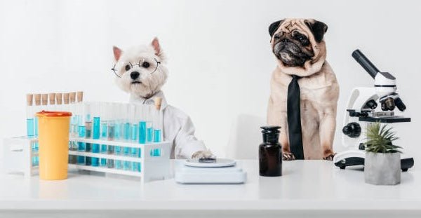 The Four-Legged Friends of Prominent Scientists - Glad Dogs Nation | ALL Profits Donated