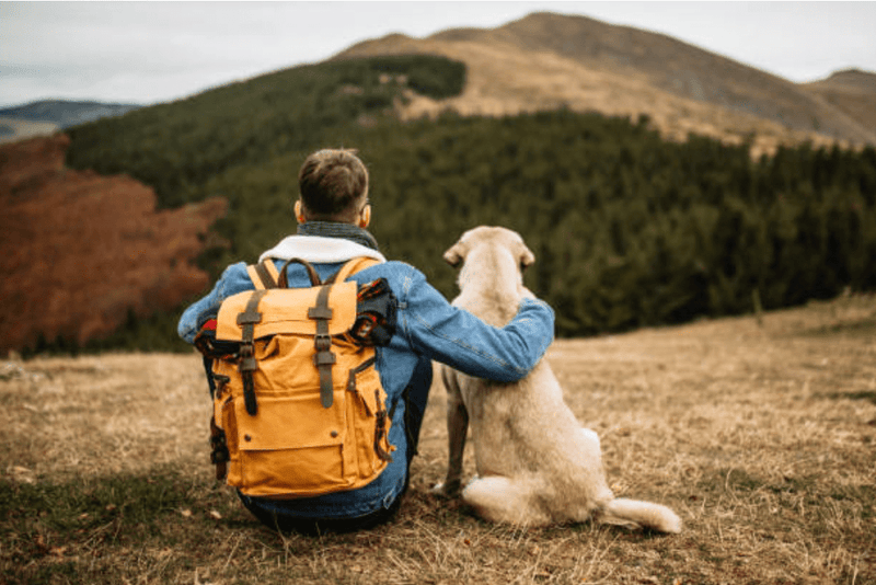 Traveling With Cannabis: Avoid Common Mistakes - Glad Dogs Nation | ALL Profits Donated