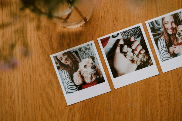 DIY Keepsake Ideas to Remember Your Pet Forever
