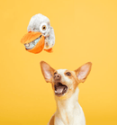 $1 OFF! BARK Big Bill & Beak - A - Boo Fish Muti - Part Dog Toy BEST SELLER - Glad Dogs Nation | ALL Profits Donated