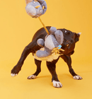 $1 OFF! BARK Herbert the Herbivore Squeaky Ball & Rope Plush Dog Toy - Glad Dogs Nation | ALL Profits Donated