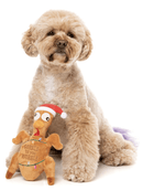 $1 OFF! FuzzYard Gobble Til You Wobble Turkey Plush Squeaky Dog Toy - Glad Dogs Nation | ALL Profits Donated
