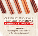 $1 OFF! Natural Farm Beef 12" Bully Sticks Dog Treats CHEAPER THAN CHEWY - Glad Dogs Nation | ALL Profits Donated