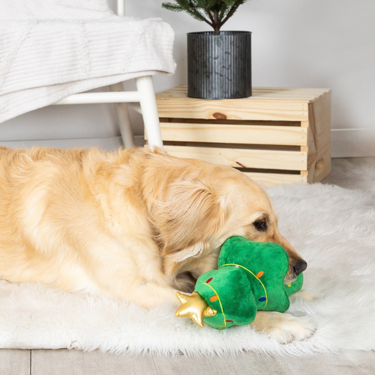 $1 OFF! PetShop by Fringe Studio Light Me Up Plush Xmas Tree Squeaky & Crinkle Tug Dog Toy - Glad Dogs Nation | ALL Profits Donated