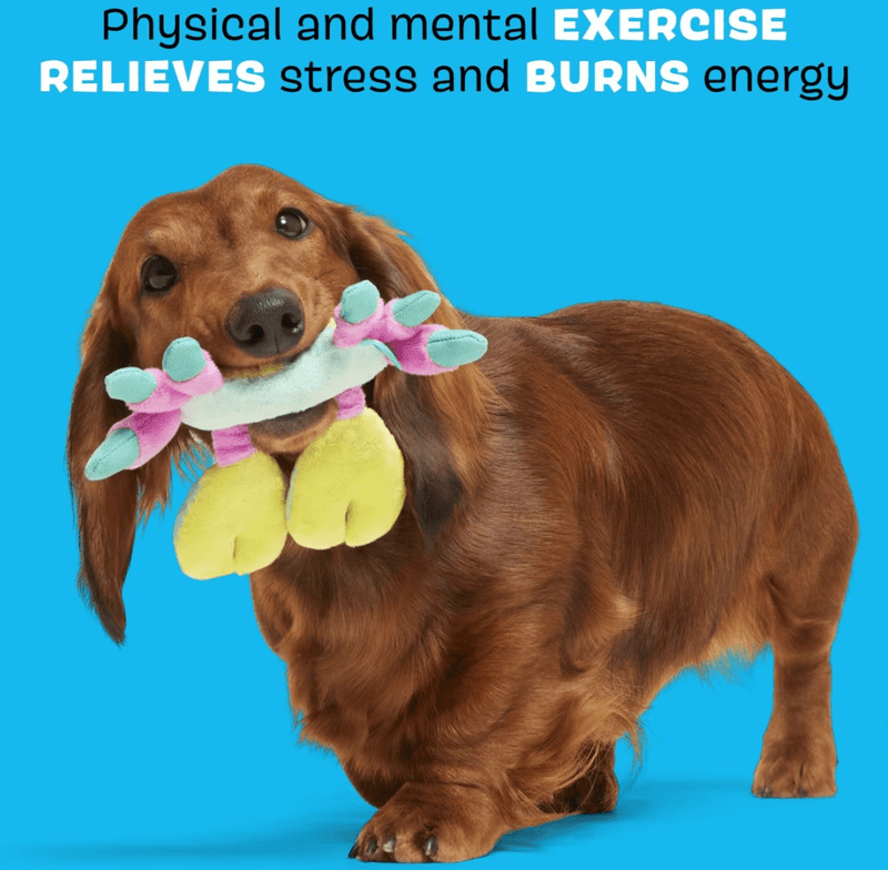 10% OFF! BARK Moe the Mosaic Crab Squeaky & Soft Crinkle Dog Toy for Tiny & Small Dogs - Glad Dogs Nation | ALL Profits Donated