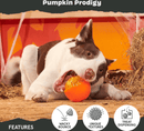 15% OFF! BARK Pumpkin Prodigy Super Chewer Dog Toy: Treat Dispensing - Glad Dogs Nation | ALL Profits Donated