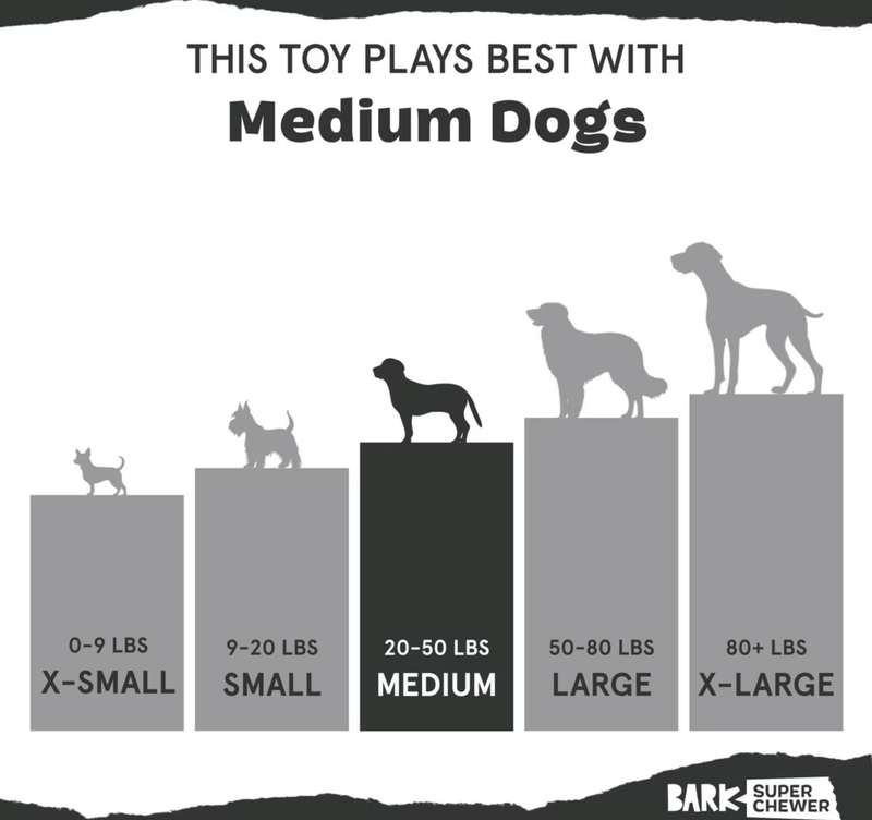 15% OFF! BARK Pumpkin Prodigy Super Chewer Dog Toy: Treat Dispensing - Glad Dogs Nation | ALL Profits Donated