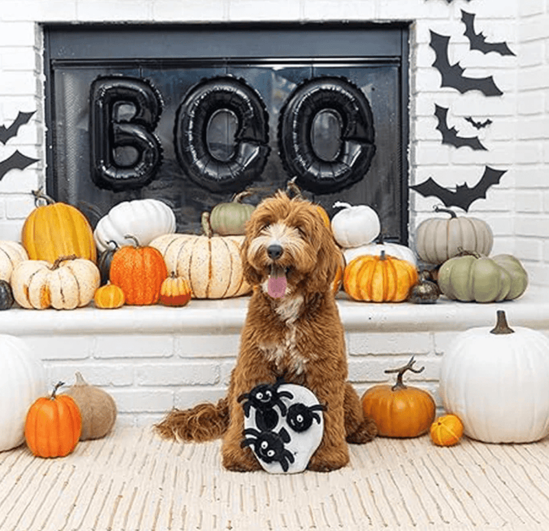 18% OFF! PetShop by Fringe Studio Skull With Spiders Plush Squeaky Hide & Seek Burrow Dog Toy - Glad Dogs Nation | ALL Profits Donated